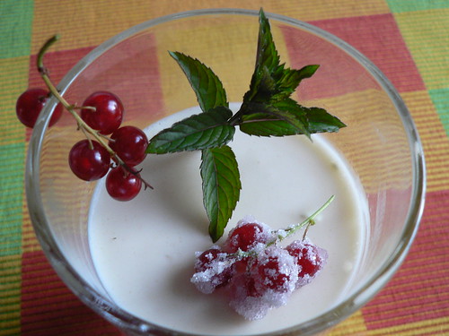 Buttermilk Jelly with Red Currants 003
