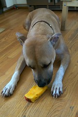 Ainsley eats a mango