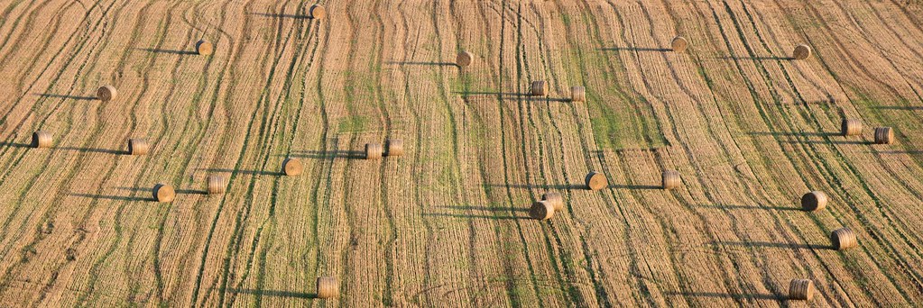 Forgotten Straw Bales