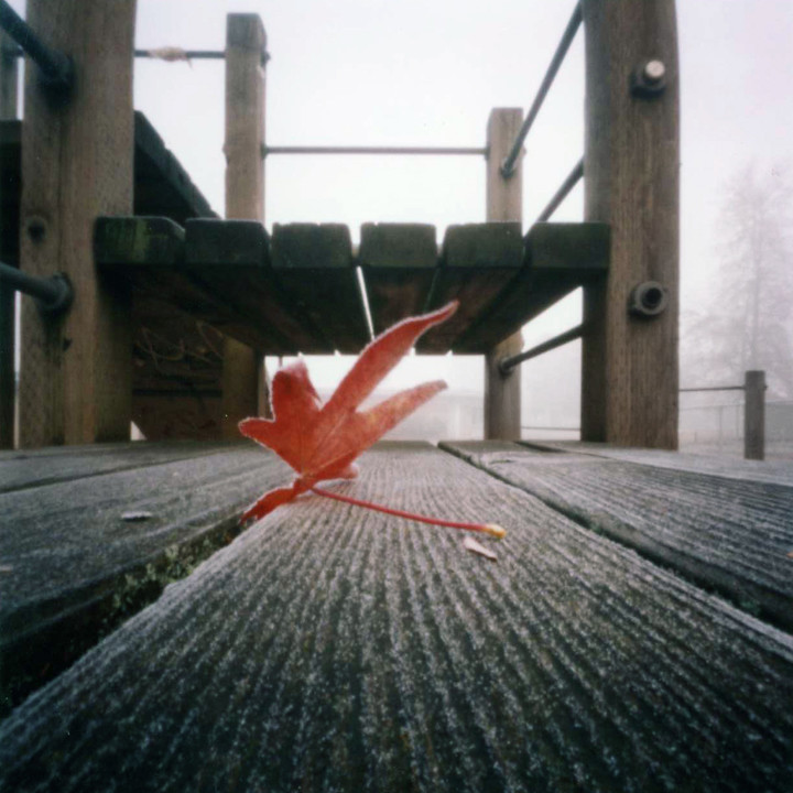 Goodbye Fall