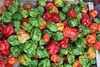 Marché de Basse-Terre : piments végétariens