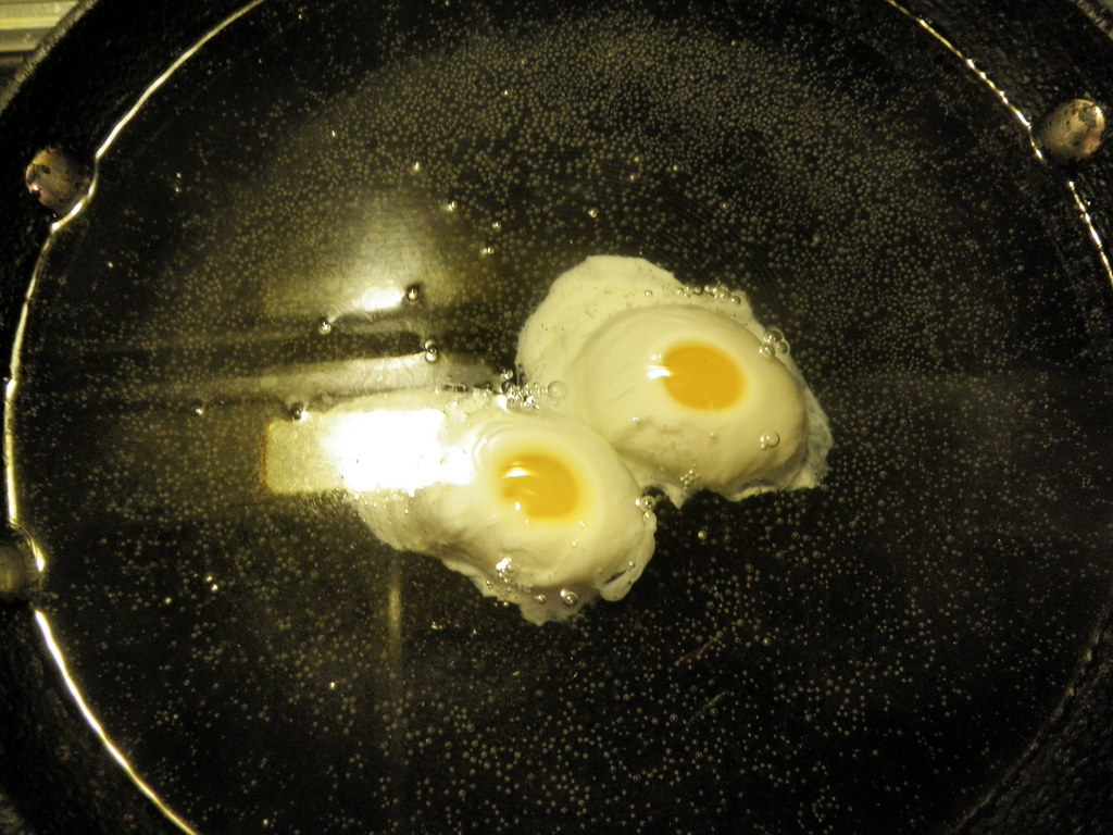 First eggs