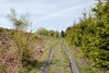 Christine MD - Chemin le long de l'ancienne voie de chemin de fer (entre Rosière et Remience)