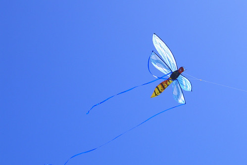 kite flying in Malibu