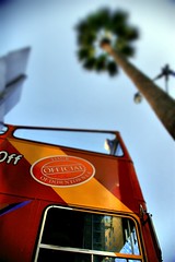 Los Angeles Tour Bus