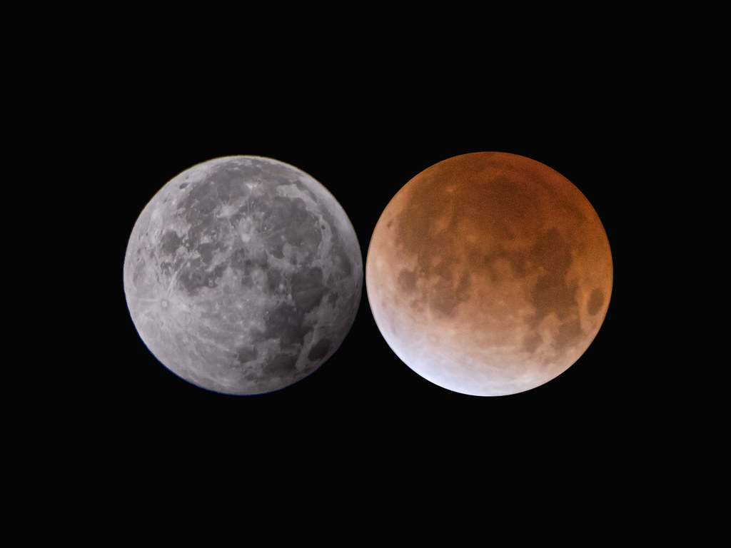 total eclipse of the moon*