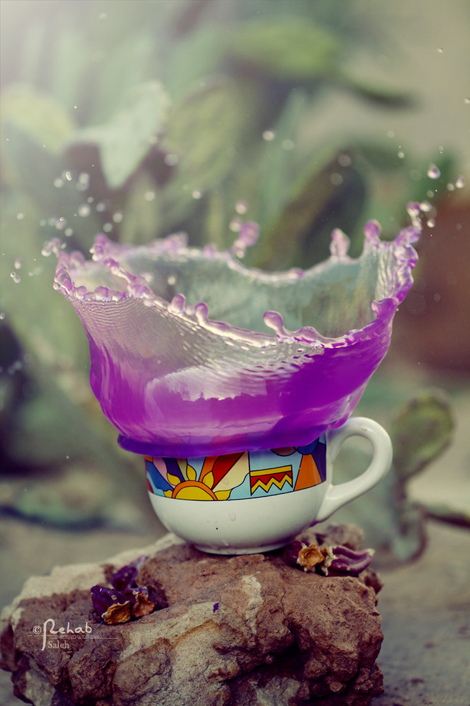 Splash +1 ( 2/3 )
