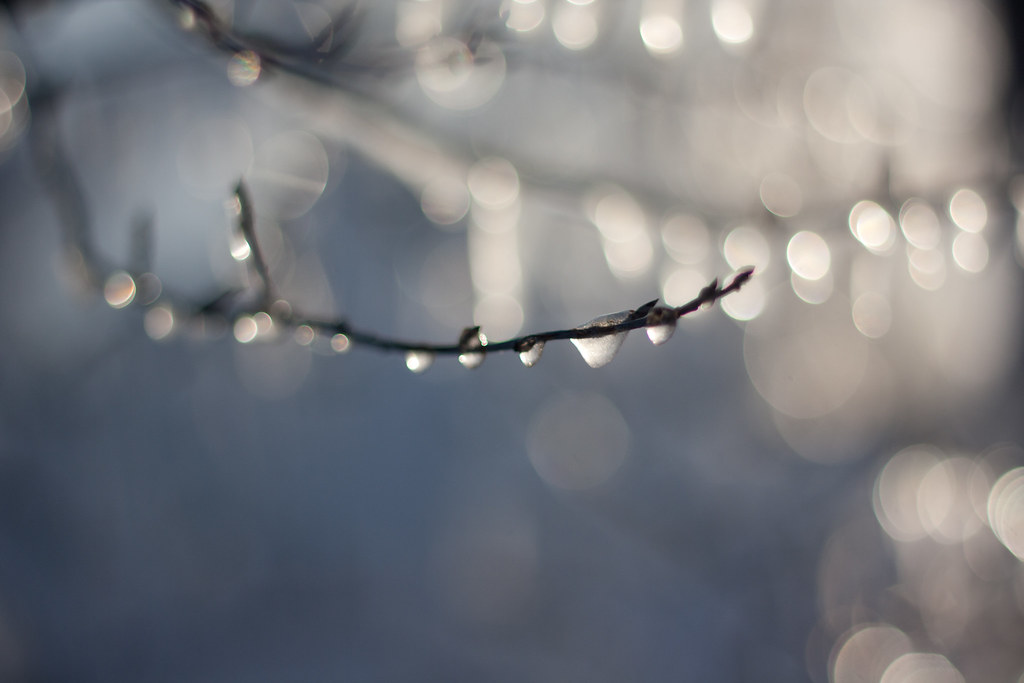 icedroplets