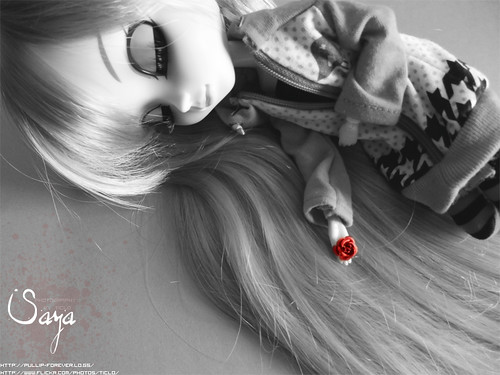 Poisoned Rose ~