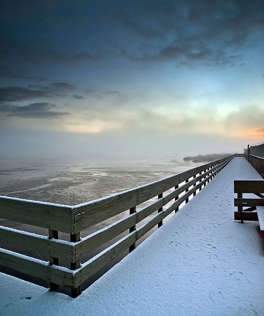 Burnaby Lake on a Snowy Morning