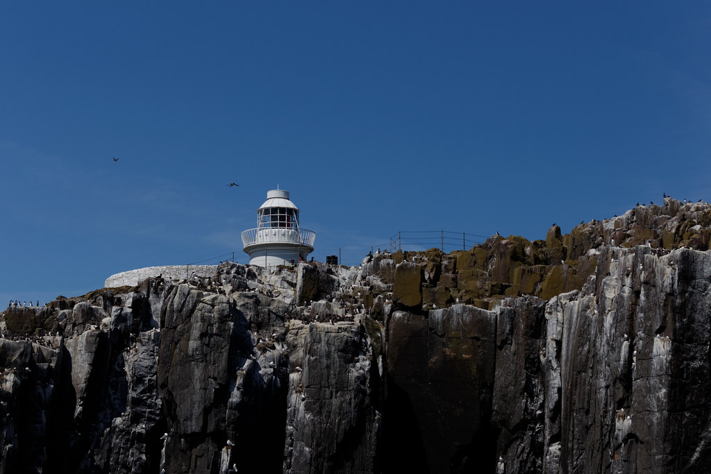 IMG_1579_DxO