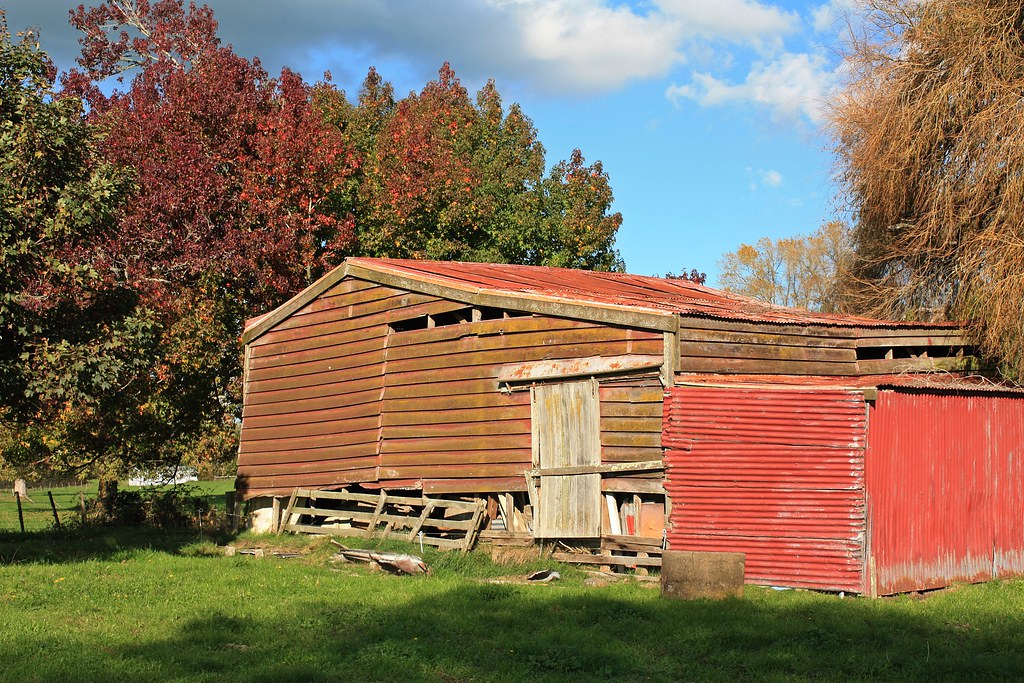 Red barn Red tree