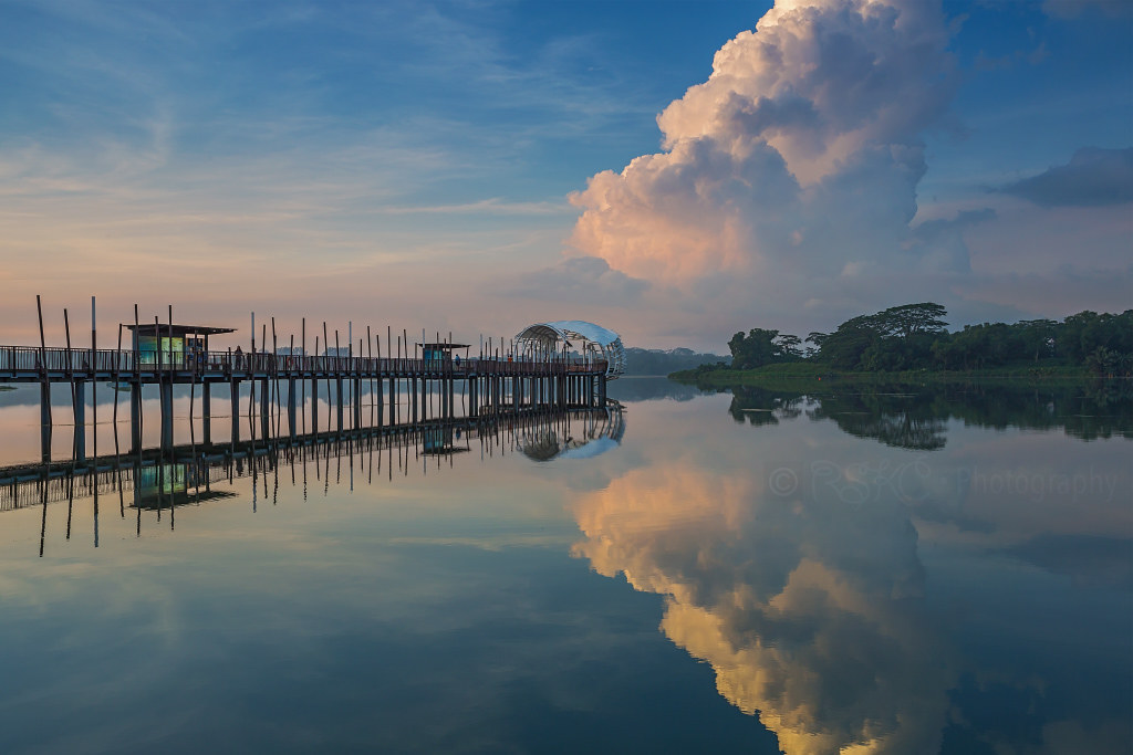 Lower Seletar Reservoir Park
