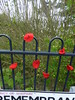 27-Knitted poppies for remembrance