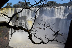 Iguazu (côté argentin)
