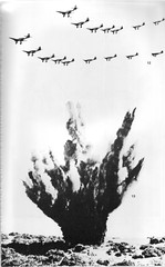 1942 Bir Hakeim - Un effet fracassant de la visite des aigles nazis