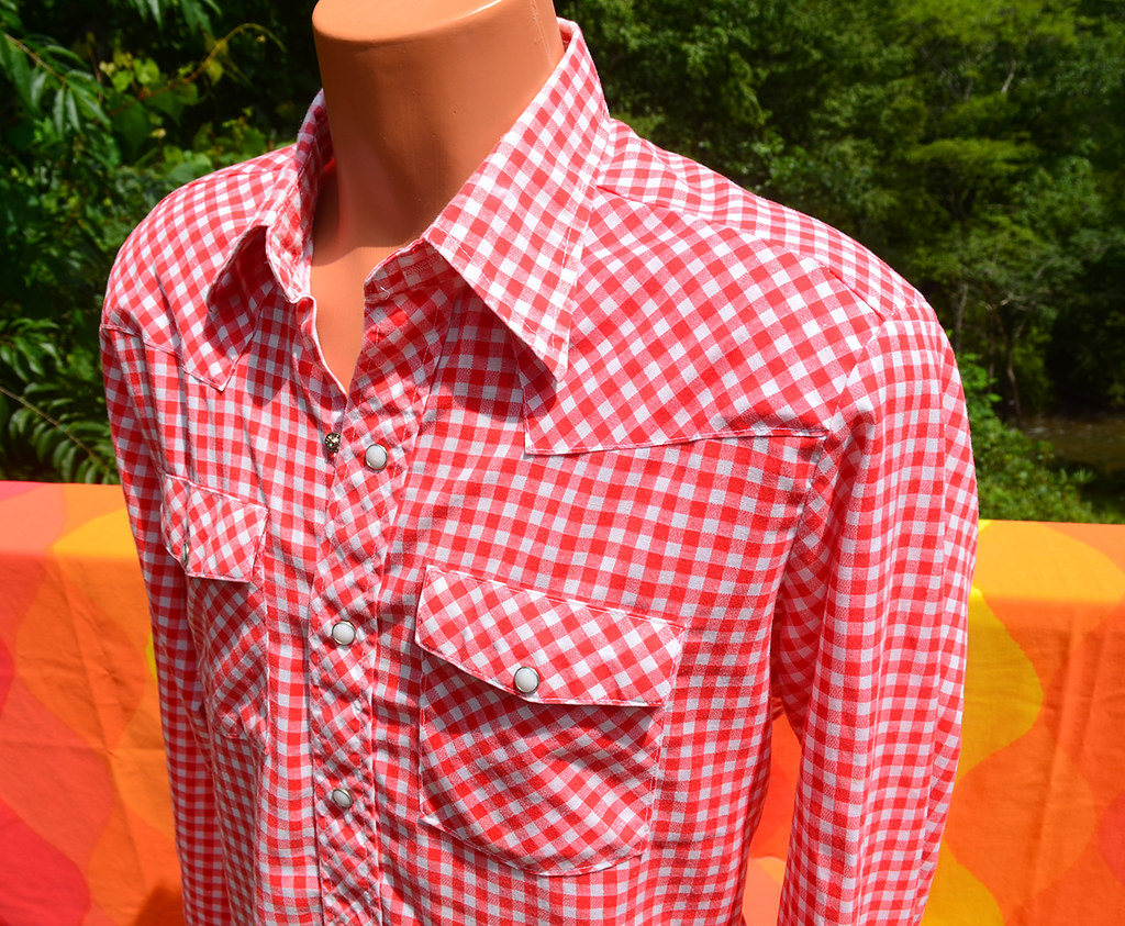 red gingham western shirt 3