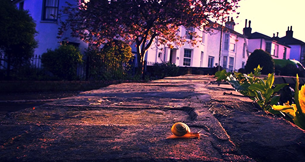 Hurrying home