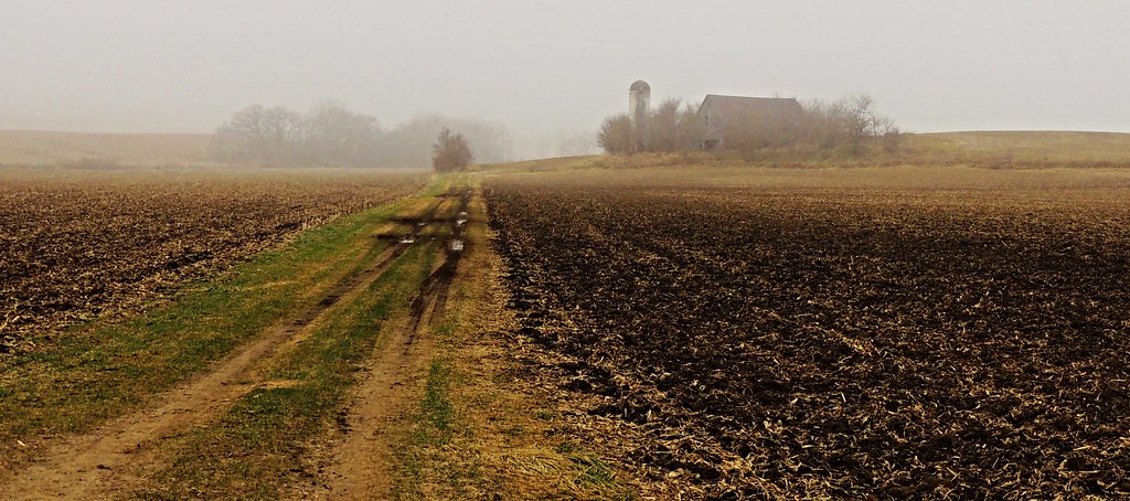 dirt road diaries....