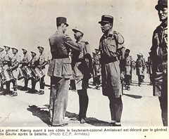 1942- Koenig - Libye- après Bir Hakeim