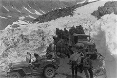 1945- Authion - 1 convoi auto, avec jeeps et camions GMC de la 1re DFL  croise une colonne muletière du Royal Brel Corps britannique sur la route Isola - Vinadio par le col de la Lombarde, en direction de l'Italie -ECPA