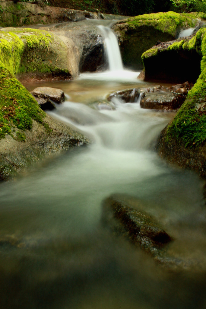Riviere