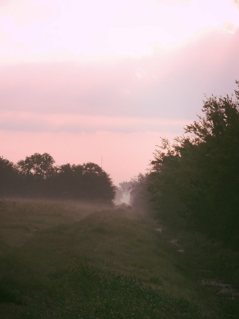 Misty Morning Sunrise