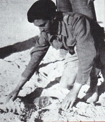 Génie - Bir Hakeim 1942 - sapeurs mineurs