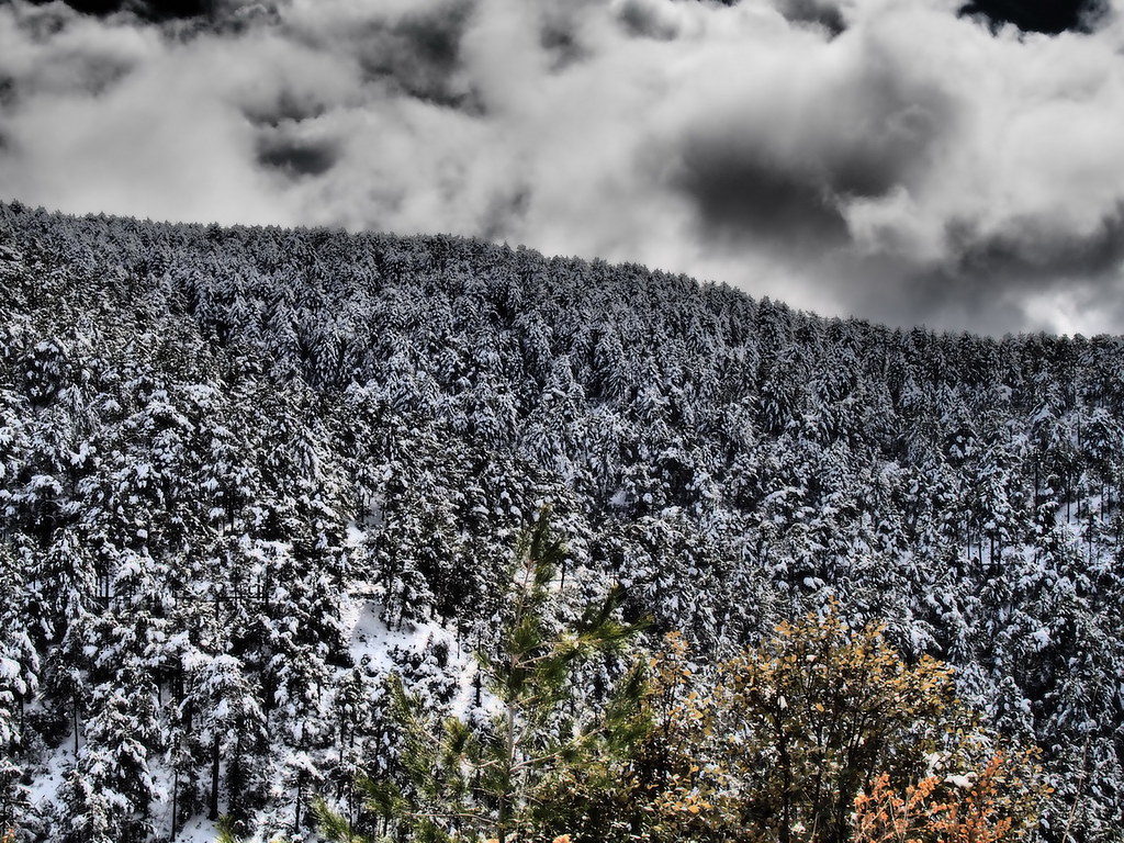 TROODOS VI _26