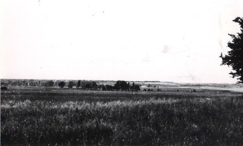 12- 45 Le BM 2 devant Royan-  terrain de l'attaque du 15 avril vers Boube - Fonds Amiel