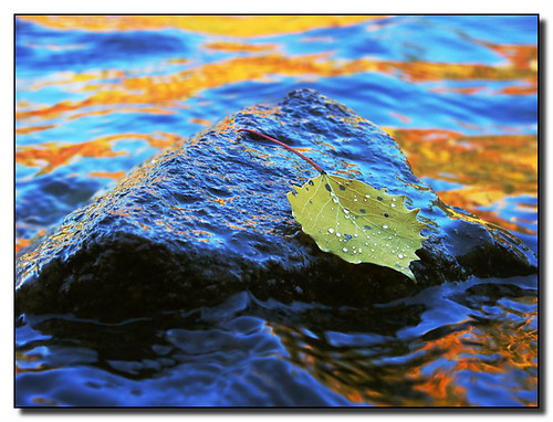 Canadian Autumn Scene