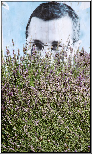 Face