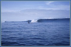 Private Panama Surf Island - Surfer Paradise - Panama Surf CampSurf