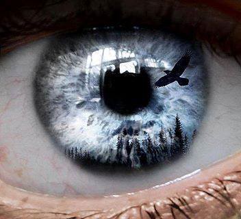 Odin's ravens, are always watching you!