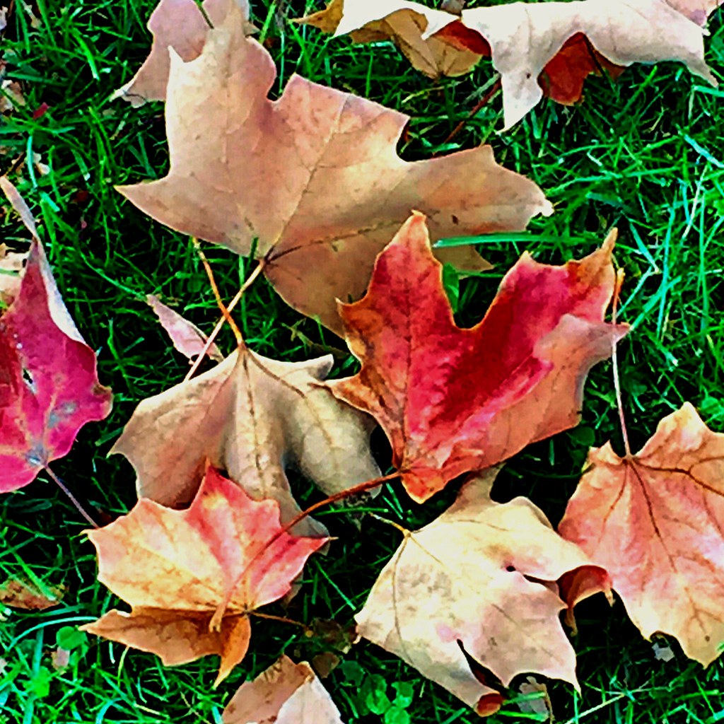After the Fall