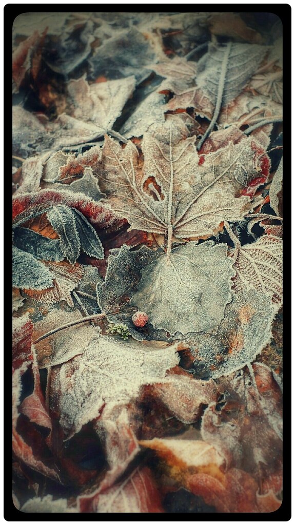 Solstice day