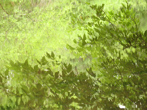 Eramosa reflections