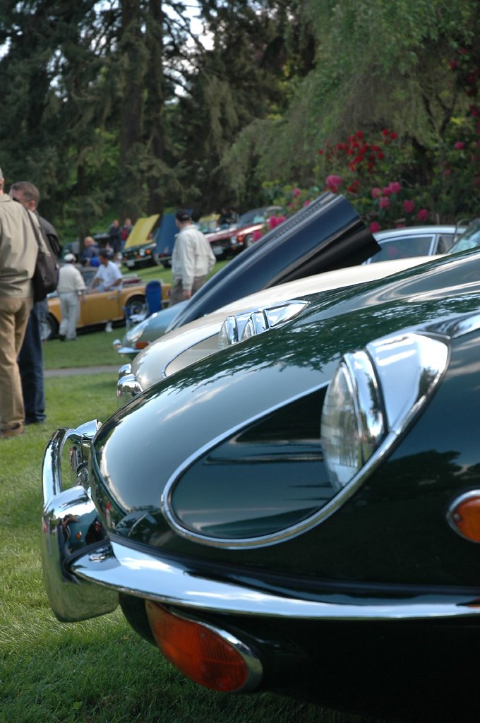E-Type Jaguars