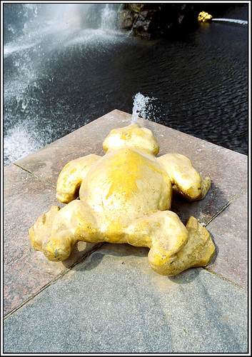 And another frog