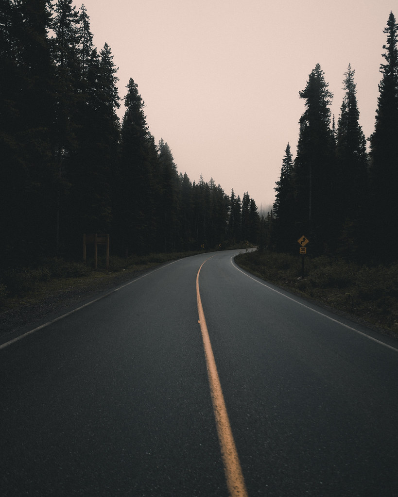 Lonely Road
