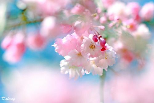 Pinned to #inzunzainspiration on Pinterest