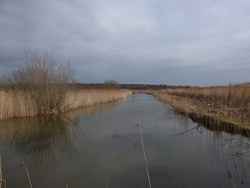RSPB Old Moor near Barnsley, Yorkshire, England - March 2018