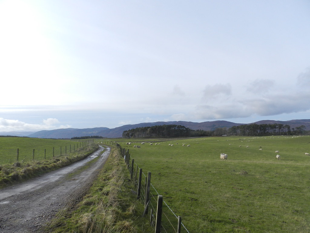 Drumashie, near Dores, Feb 2019