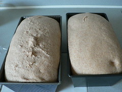 Brown Bread 003