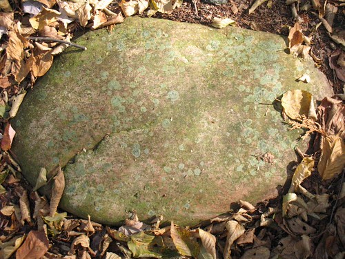 lichenous rock