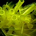 Lab garbage