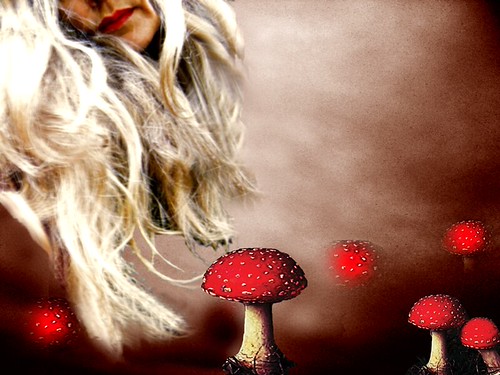 poisoner fairy