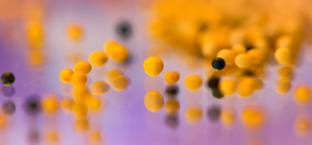 Macro Monday ~What is it?