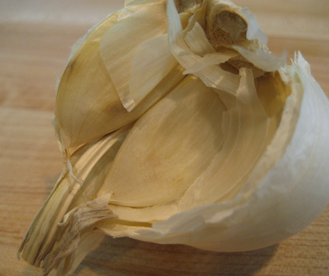 garlic 2.JPG
