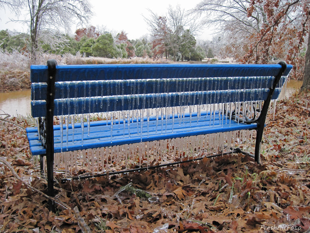 Blue Bench Monday